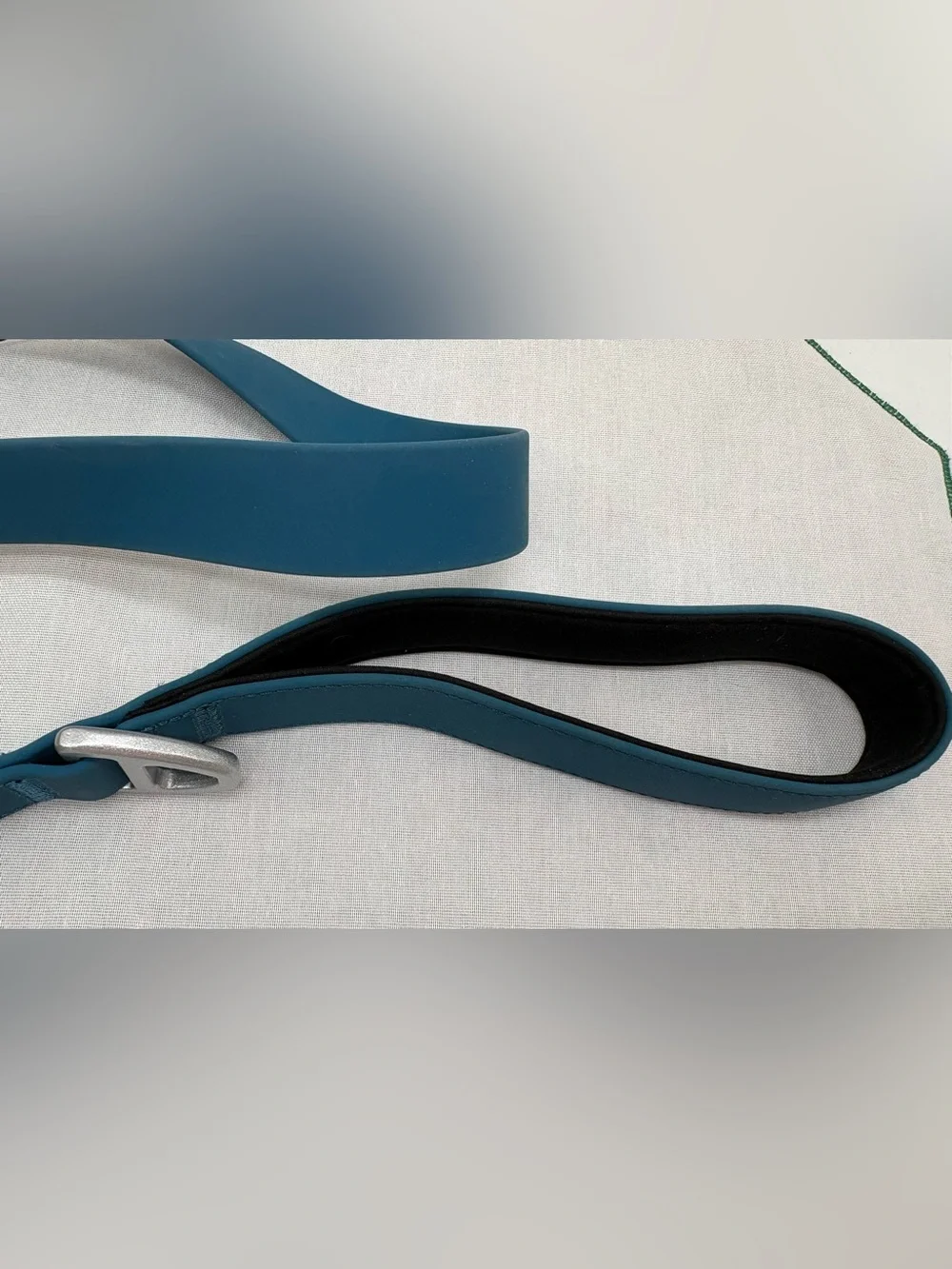 Arcadia Trail 4ft Waterproof Active Comfort Dog Leash Teal NWT